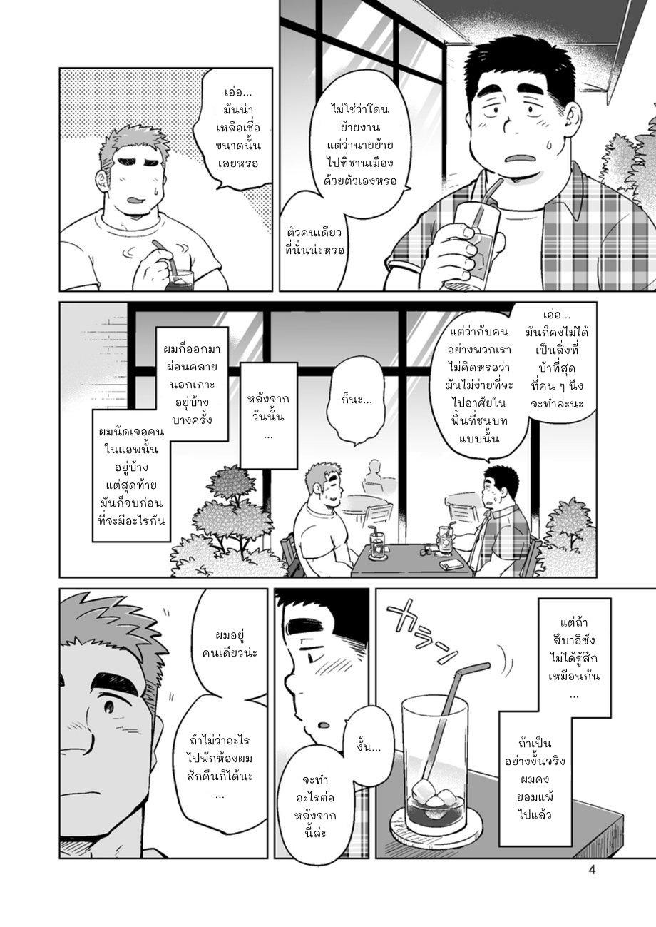 หนุ่มเมืองในชนบท 3-5